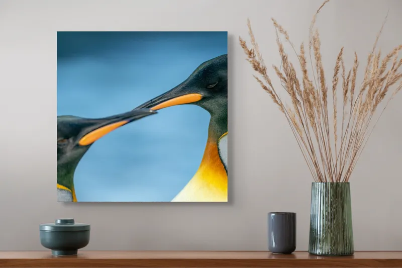 Tablou Canvas, "Întâlnirea sufletelor sub cerul arctic", Pinguini, Afecțiune, Colorat, Apropiere, Ocean, Eleganță, Grație, Natură, Serenitate, Armonie., 50 x 50 cm – poza 4