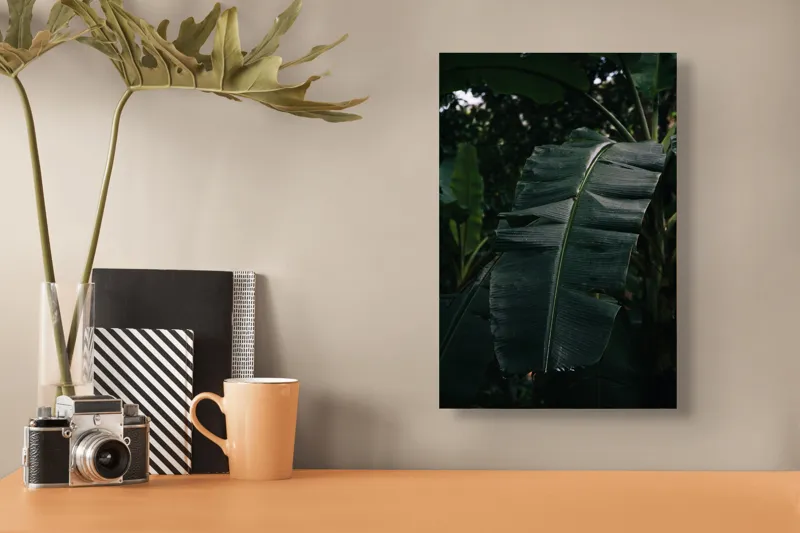 Tablou Canvas, "Frunze de bananier în umbră densă", Frunze, Verde, Textură, Umbre, Natură, Lumină, Tropical, Detalii, 26 x 39 cm – poza 3