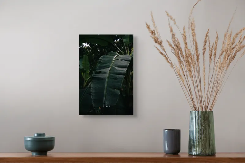 Tablou Canvas, "Frunze de bananier în umbră densă", Frunze, Verde, Textură, Umbre, Natură, Lumină, Tropical, Detalii, 26 x 39 cm – poza 5
