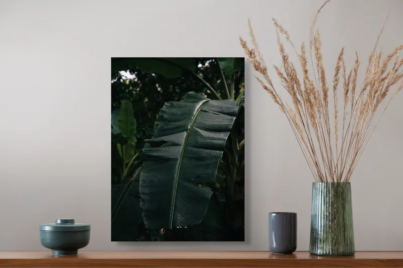 Tablou Canvas, "Frunze de bananier în umbră densă", Frunze, Verde, Textură, Umbre, Natură, Lumină, Tropical, Detalii, 39 x 54 cm – poza 3