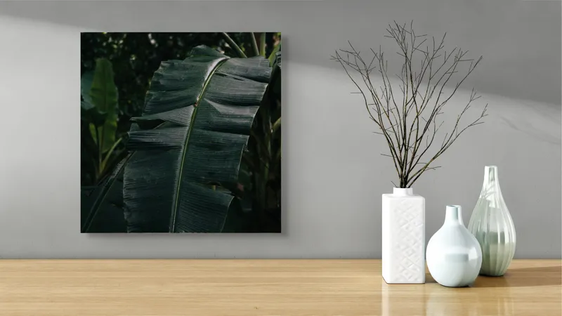 Tablou Canvas, "Frunze de bananier în umbră densă", Frunze, Verde, Textură, Umbre, Natură, Lumină, Tropical, Detalii, 50 x 50 cm – poza 3