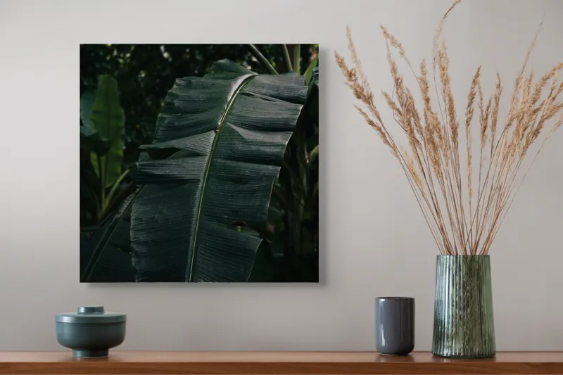 Tablou Canvas, "Frunze de bananier în umbră densă", Frunze, Verde, Textură, Umbre, Natură, Lumină, Tropical, Detalii, 50 x 50 cm – poza 4