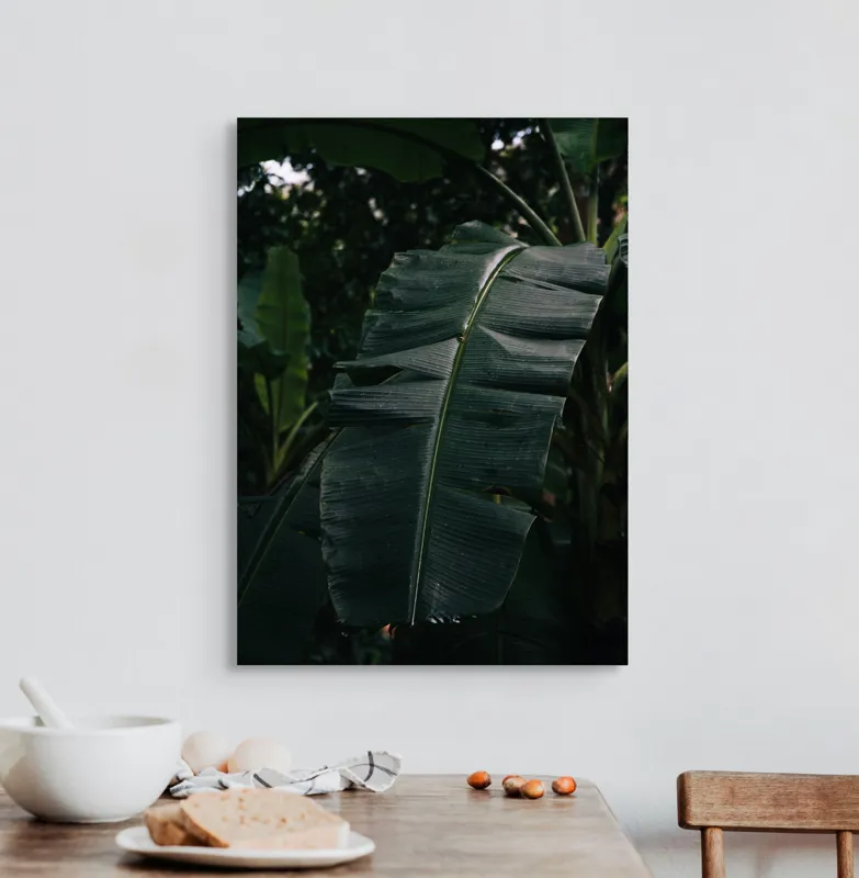 Tablou Canvas, "Frunze de bananier în umbră densă", Frunze, Verde, Textură, Umbre, Natură, Lumină, Tropical, Detalii, 50 x 70 cm – poza 3