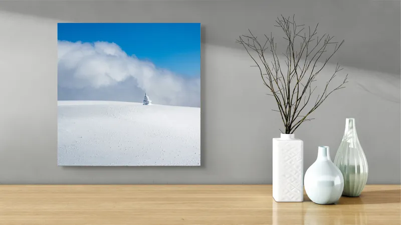 Tablou Canvas, "Singuratic în întinderea albă infinită", Zăpadă, Cer, Nori, Singurătate, Liniște, Puritate, Frig, Natură, Calm, Imensitate, 50 x 50 cm – poza 3