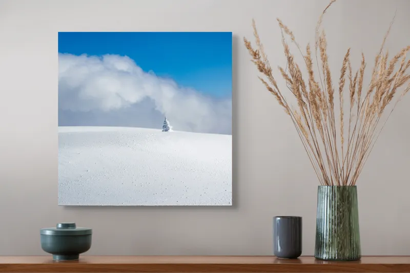 Tablou Canvas, "Singuratic în întinderea albă infinită", Zăpadă, Cer, Nori, Singurătate, Liniște, Puritate, Frig, Natură, Calm, Imensitate, 50 x 50 cm – poza 4