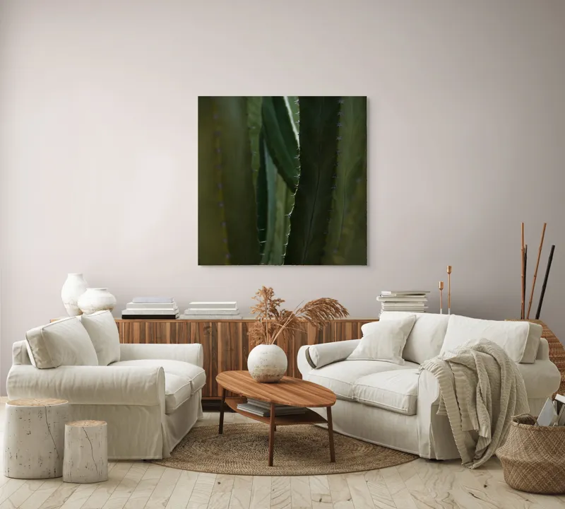 Tablou Canvas, "Spinii cactușilor în lumina dimineții", Verde, Textură, Natură, Spineți, Mistic, Vegetație, Adâncime, Tăcere, Organic, Viu, 100 x 100 cm – poza 3