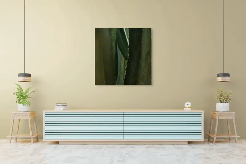 Tablou Canvas, "Spinii cactușilor în lumina dimineții", Verde, Textură, Natură, Spineți, Mistic, Vegetație, Adâncime, Tăcere, Organic, Viu, 100 x 100 cm – poza 5