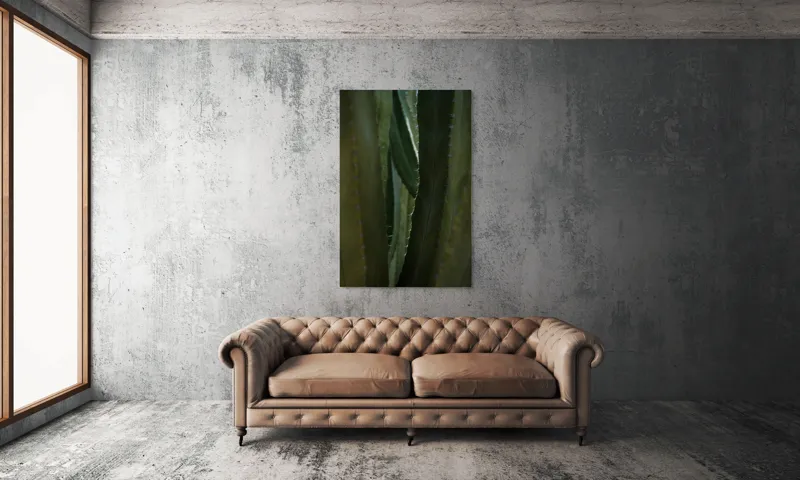 Tablou Canvas, "Spinii cactușilor în lumina dimineții", Verde, Textură, Natură, Spineți, Mistic, Vegetație, Adâncime, Tăcere, Organic, Viu, 100 x 150 cm – poza 6