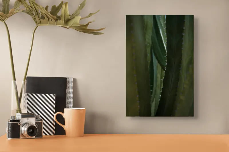 Tablou Canvas, "Spinii cactușilor în lumina dimineții", Verde, Textură, Natură, Spineți, Mistic, Vegetație, Adâncime, Tăcere, Organic, Viu, 26 x 39 cm – poza 3