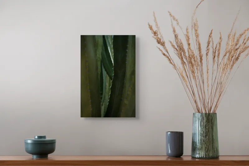 Tablou Canvas, "Spinii cactușilor în lumina dimineții", Verde, Textură, Natură, Spineți, Mistic, Vegetație, Adâncime, Tăcere, Organic, Viu, 26 x 39 cm – poza 5