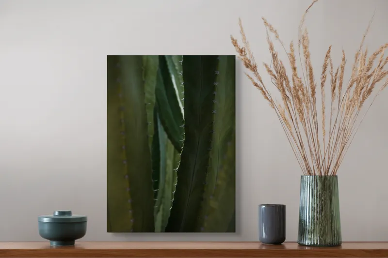 Tablou Canvas, "Spinii cactușilor în lumina dimineții", Verde, Textură, Natură, Spineți, Mistic, Vegetație, Adâncime, Tăcere, Organic, Viu, 39 x 54 cm – poza 3