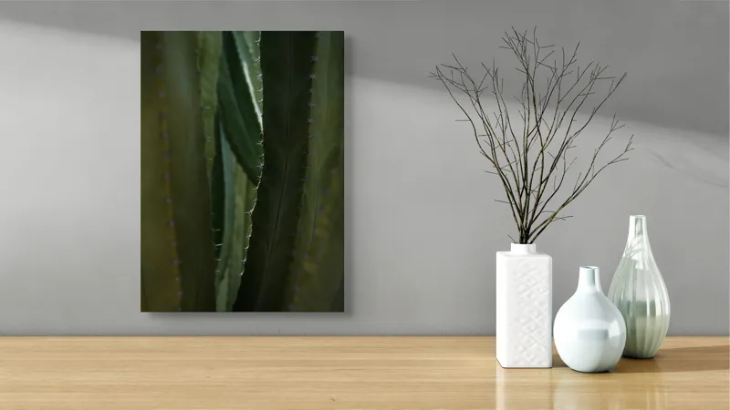 Tablou Canvas, "Spinii cactușilor în lumina dimineții", Verde, Textură, Natură, Spineți, Mistic, Vegetație, Adâncime, Tăcere, Organic, Viu, 39 x 54 cm – poza 4