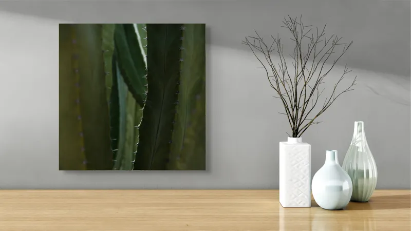 Tablou Canvas, "Spinii cactușilor în lumina dimineții", Verde, Textură, Natură, Spineți, Mistic, Vegetație, Adâncime, Tăcere, Organic, Viu, 50 x 50 cm – poza 3