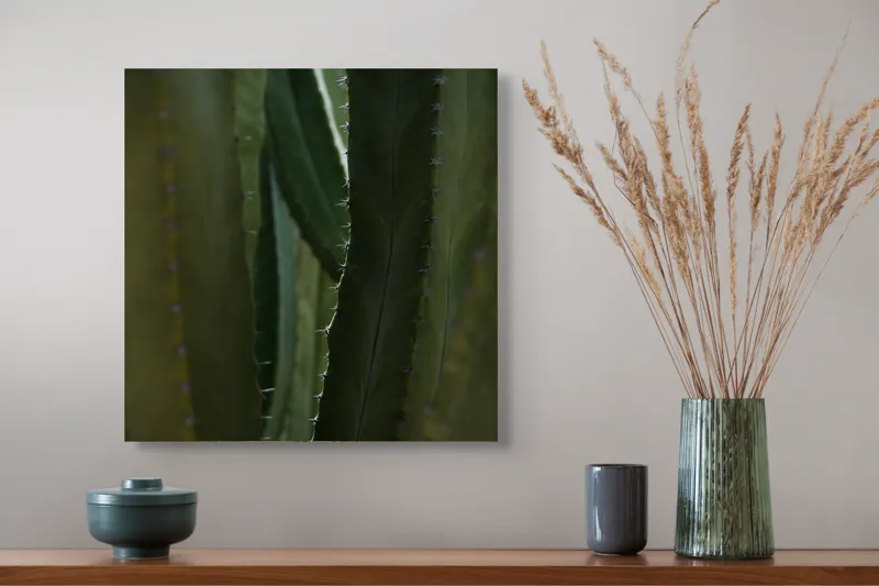Tablou Canvas, "Spinii cactușilor în lumina dimineții", Verde, Textură, Natură, Spineți, Mistic, Vegetație, Adâncime, Tăcere, Organic, Viu, 50 x 50 cm – poza 4