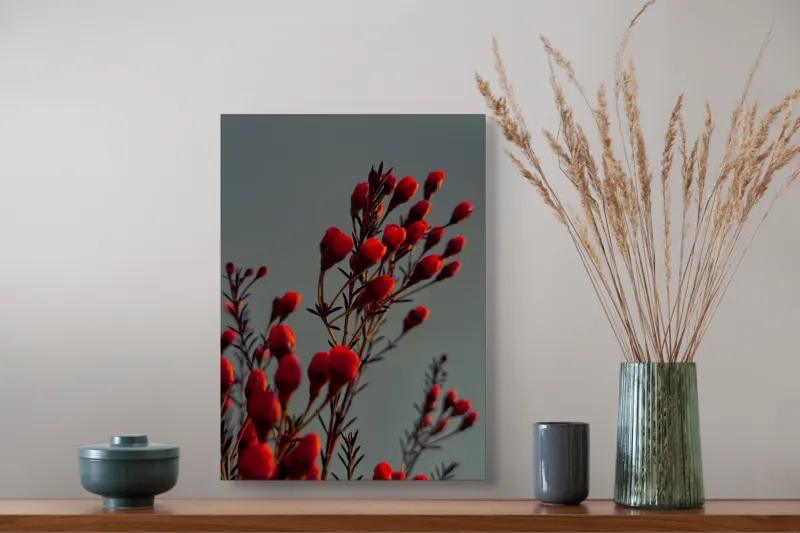 Tablou Canvas, "Muguri roșii în lumina apusului", Flori, Răsărit, Roșu, Contrast, Eleganță, Natură, Delicatețe, Artistic., 39 x 54 cm – poza 3