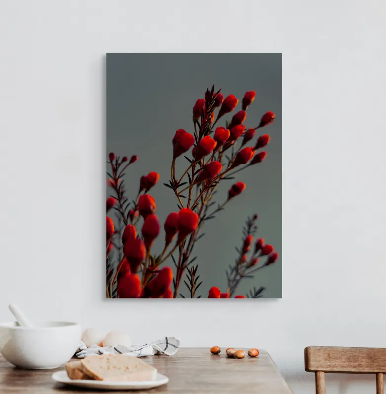 Tablou Canvas, "Muguri roșii în lumina apusului", Flori, Răsărit, Roșu, Contrast, Eleganță, Natură, Delicatețe, Artistic., 50 x 70 cm – poza 3