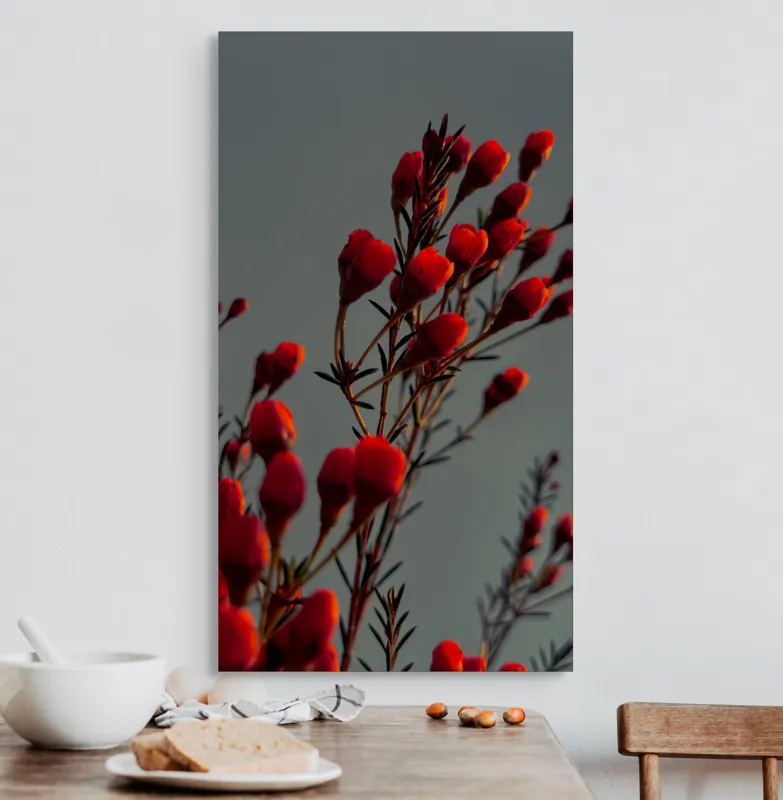 Tablou Canvas, "Muguri roșii în lumina apusului", Flori, Răsărit, Roșu, Contrast, Eleganță, Natură, Delicatețe, Artistic., 50 x 90 cm – poza 3