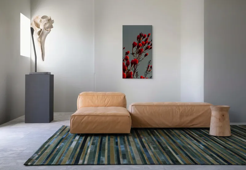 Tablou Canvas, "Muguri roșii în lumina apusului", Flori, Răsărit, Roșu, Contrast, Eleganță, Natură, Delicatețe, Artistic., 50 x 90 cm – poza 5