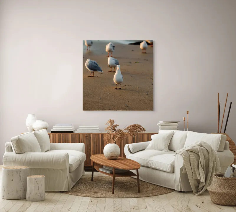 Tablou Canvas, "Pescăruși la apus pe plajă", Păsări, Plajă, Apus, Nisip, Marea, Aripi, Liniște, Umbre, Guguștiuci, Valuri, 100 x 100 cm – poza 3