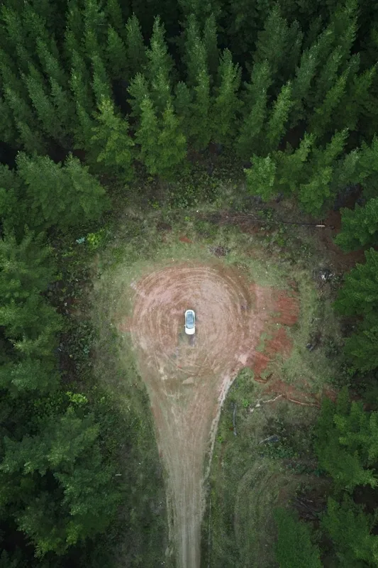 Tablou Canvas, "Mașina solitară în mijlocul pădurii", Mașină, Pădure, Vedere, Aeriană, Linie, Claritate, Contemplare, Natură, 100 x 150 cm – poza 2