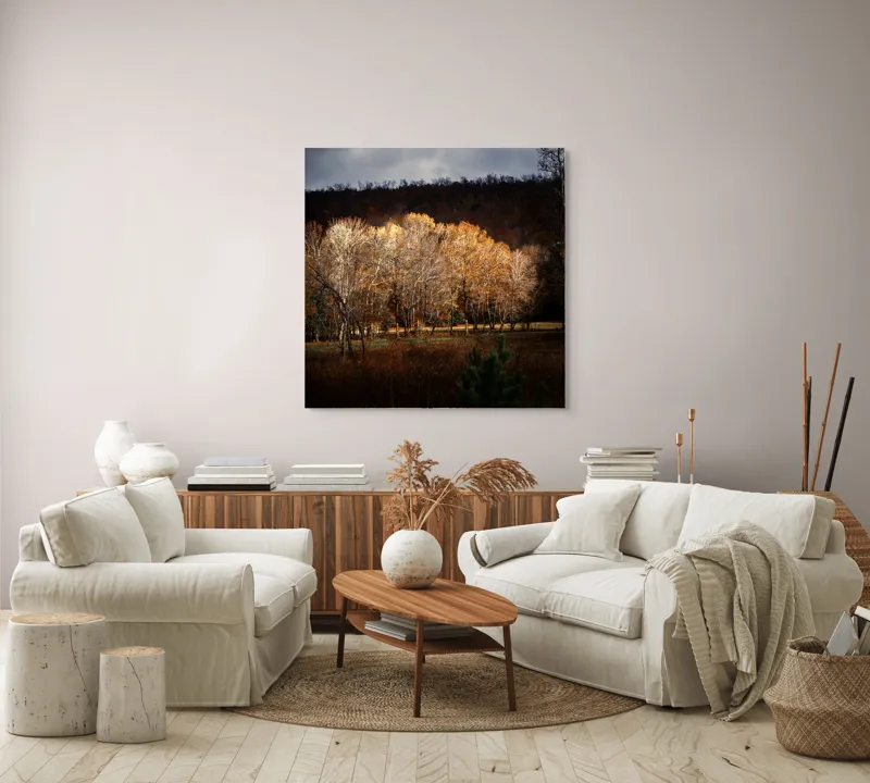 Tablou Canvas, "Strălucirea toamnei în pădurea liniștită", Natura, Toamnă, Pădure, Lumină, Copaci, Frunze, Umbre, Peisaj, 100 x 100 cm – poza 3