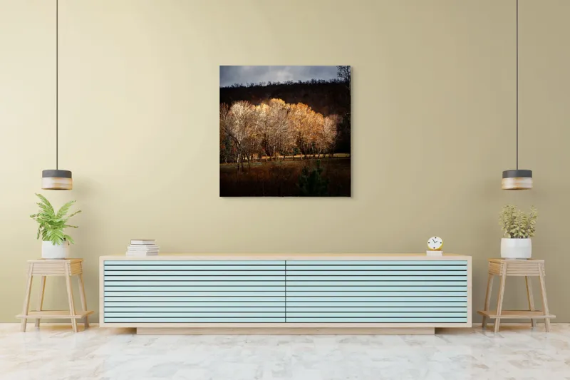 Tablou Canvas, "Strălucirea toamnei în pădurea liniștită", Natura, Toamnă, Pădure, Lumină, Copaci, Frunze, Umbre, Peisaj, 100 x 100 cm – poza 5
