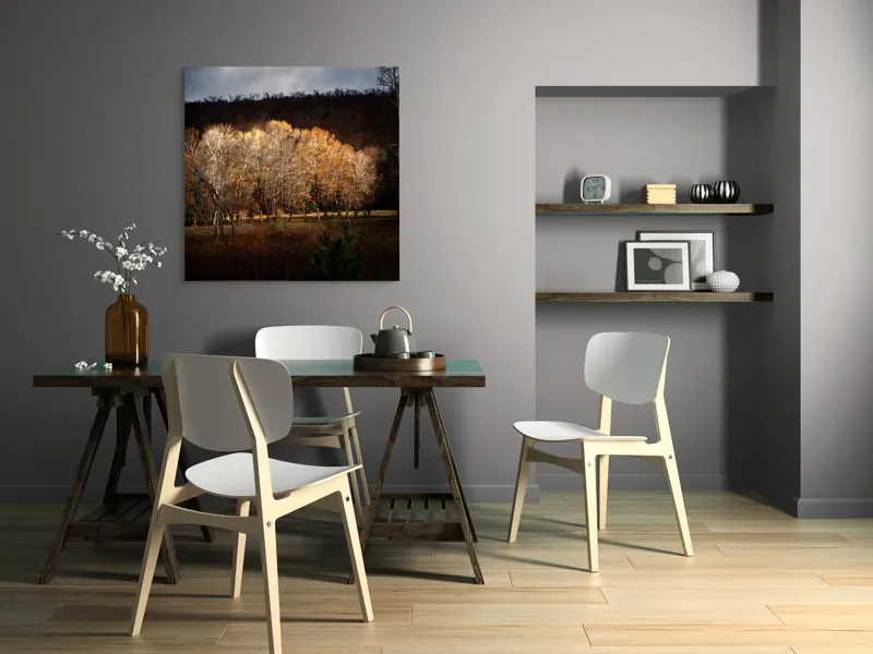Tablou Canvas, "Strălucirea toamnei în pădurea liniștită", Natura, Toamnă, Pădure, Lumină, Copaci, Frunze, Umbre, Peisaj, 100 x 100 cm – poza 6
