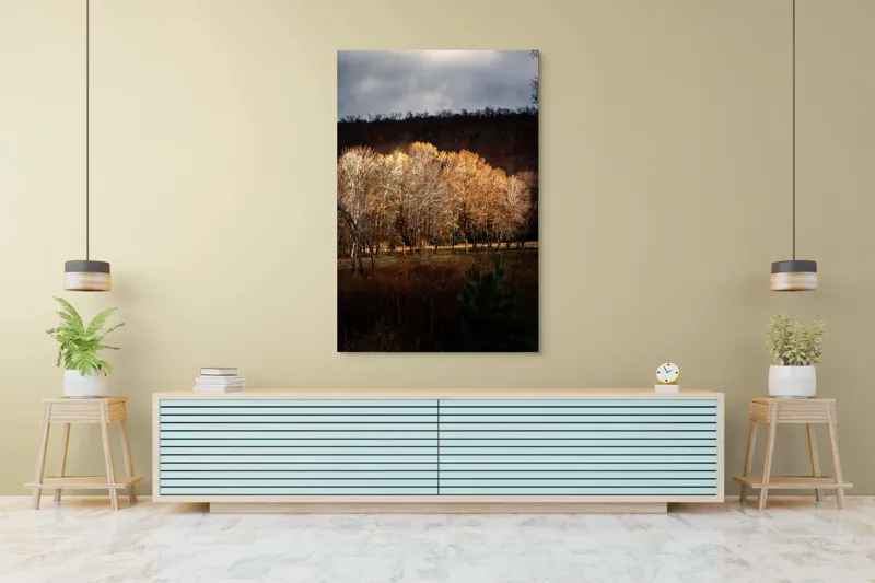 Tablou Canvas, "Strălucirea toamnei în pădurea liniștită", Natura, Toamnă, Pădure, Lumină, Copaci, Frunze, Umbre, Peisaj, 100 x 150 cm – poza 4