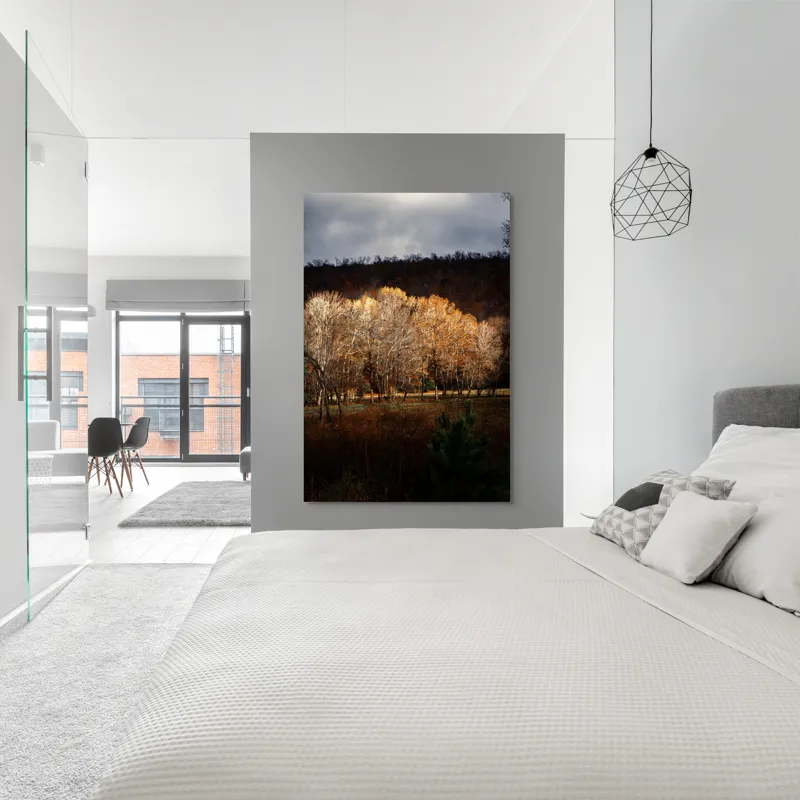 Tablou Canvas, "Strălucirea toamnei în pădurea liniștită", Natura, Toamnă, Pădure, Lumină, Copaci, Frunze, Umbre, Peisaj, 100 x 150 cm – poza 5