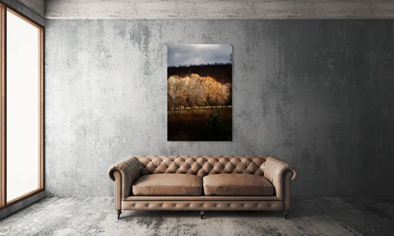 Tablou Canvas, "Strălucirea toamnei în pădurea liniștită", Natura, Toamnă, Pădure, Lumină, Copaci, Frunze, Umbre, Peisaj, 100 x 150 cm – poza 6