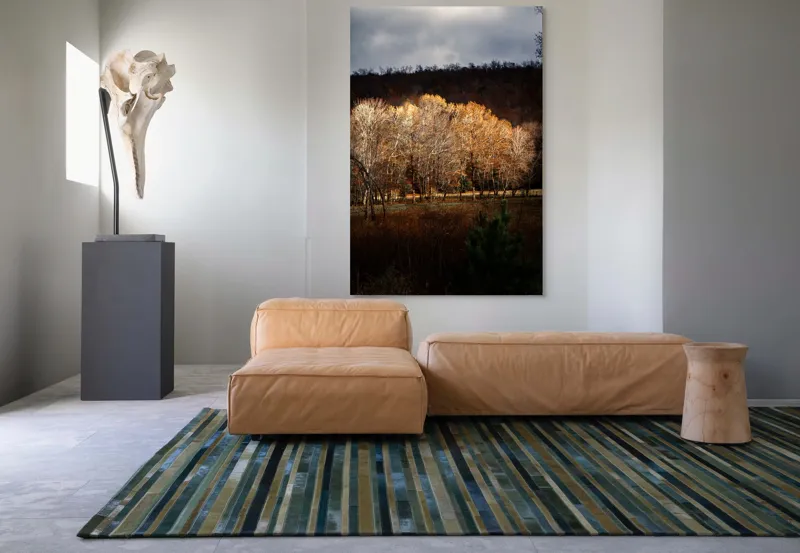 Tablou Canvas, "Strălucirea toamnei în pădurea liniștită", Natura, Toamnă, Pădure, Lumină, Copaci, Frunze, Umbre, Peisaj, 100 x 150 cm – poza 7