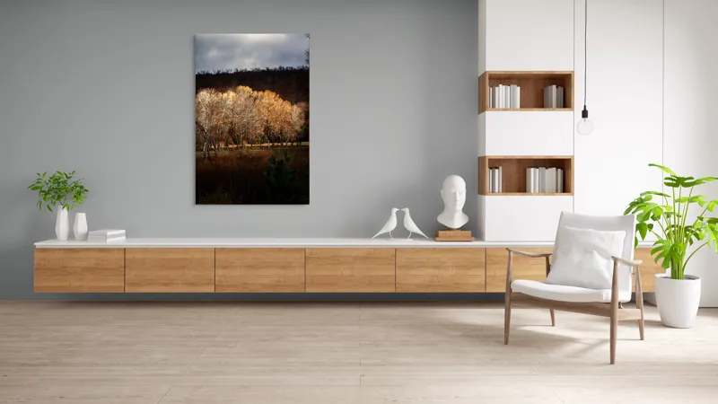 Tablou Canvas, "Strălucirea toamnei în pădurea liniștită", Natura, Toamnă, Pădure, Lumină, Copaci, Frunze, Umbre, Peisaj, 100 x 150 cm – poza 8
