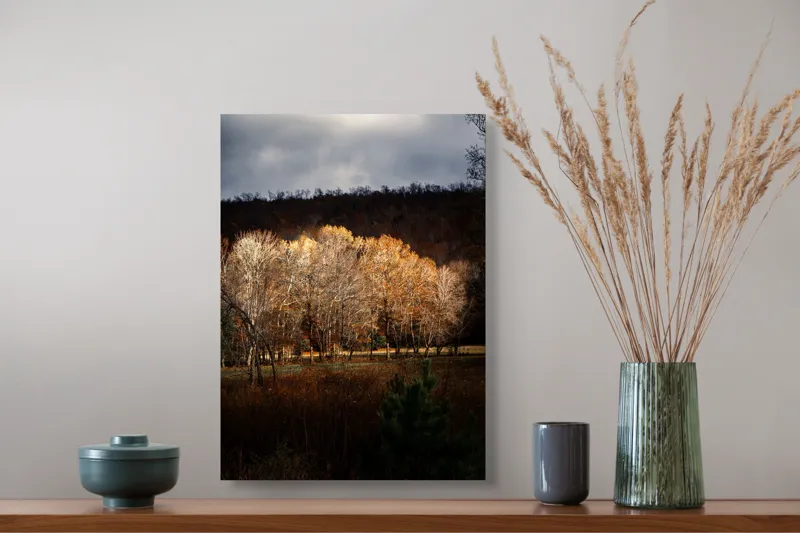 Tablou Canvas, "Strălucirea toamnei în pădurea liniștită", Natura, Toamnă, Pădure, Lumină, Copaci, Frunze, Umbre, Peisaj, 39 x 54 cm – poza 3