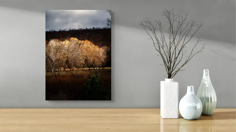 Tablou Canvas, "Strălucirea toamnei în pădurea liniștită", Natura, Toamnă, Pădure, Lumină, Copaci, Frunze, Umbre, Peisaj, 39 x 54 cm – poza 4