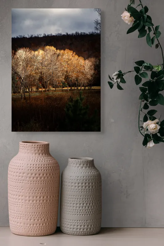 Tablou Canvas, "Strălucirea toamnei în pădurea liniștită", Natura, Toamnă, Pădure, Lumină, Copaci, Frunze, Umbre, Peisaj, 39 x 54 cm – poza 6