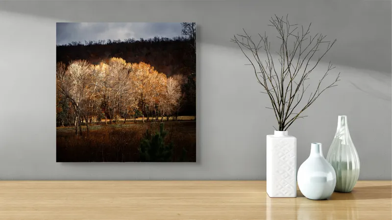 Tablou Canvas, "Strălucirea toamnei în pădurea liniștită", Natura, Toamnă, Pădure, Lumină, Copaci, Frunze, Umbre, Peisaj, 50 x 50 cm – poza 3
