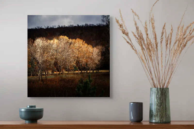 Tablou Canvas, "Strălucirea toamnei în pădurea liniștită", Natura, Toamnă, Pădure, Lumină, Copaci, Frunze, Umbre, Peisaj, 50 x 50 cm – poza 4