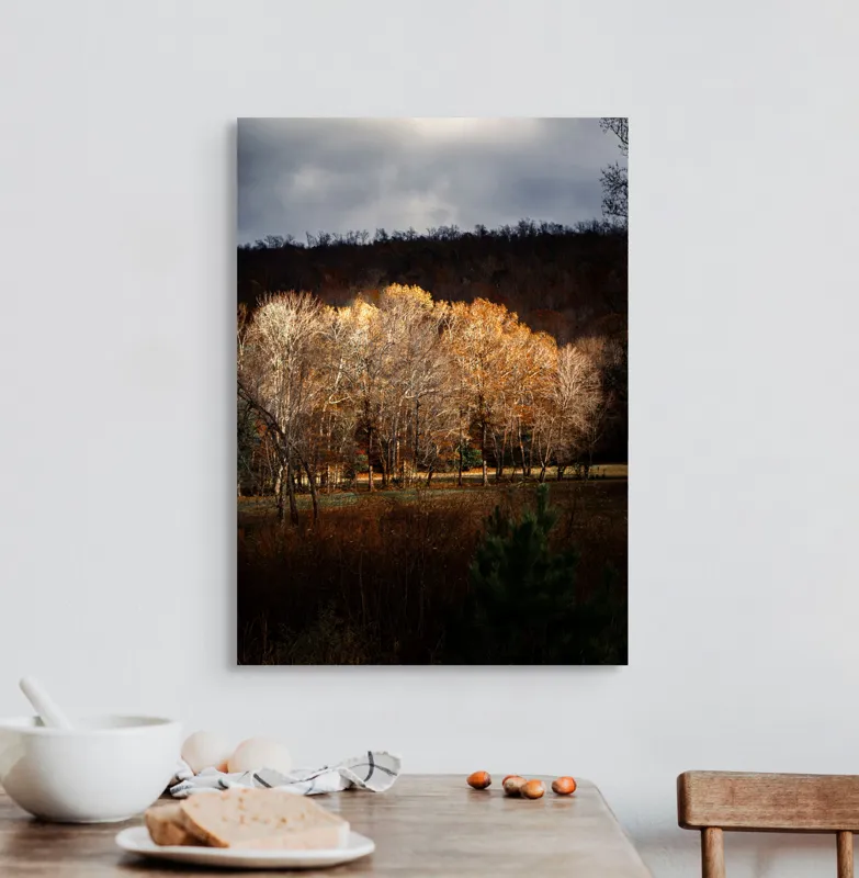 Tablou Canvas, "Strălucirea toamnei în pădurea liniștită", Natura, Toamnă, Pădure, Lumină, Copaci, Frunze, Umbre, Peisaj, 50 x 70 cm – poza 3