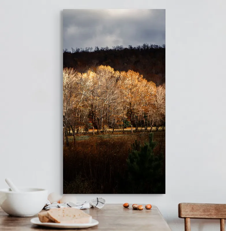 Tablou Canvas, "Strălucirea toamnei în pădurea liniștită", Natura, Toamnă, Pădure, Lumină, Copaci, Frunze, Umbre, Peisaj, 50 x 90 cm – poza 3