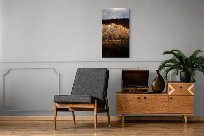 Tablou Canvas, "Strălucirea toamnei în pădurea liniștită", Natura, Toamnă, Pădure, Lumină, Copaci, Frunze, Umbre, Peisaj, 50 x 90 cm – poza 8