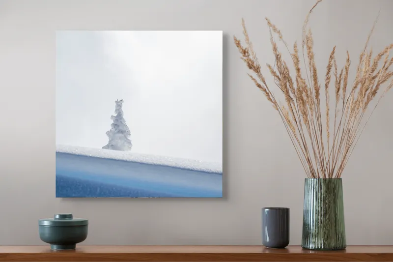 Tablou Canvas, "Singuraticul brad acoperit de nea", Alb, Singuratic, Înghețat, Cer, Tăcut, Contrastant, Peisaj., 50 x 50 cm – poza 4
