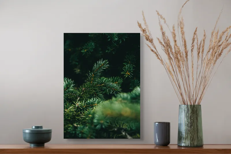Tablou Canvas, "Verde în adâncul pădurii de conifere", Verde, Ace, Natură, Pini, Frunze, Întunecat, Ramuri, Textură, 39 x 54 cm – poza 3