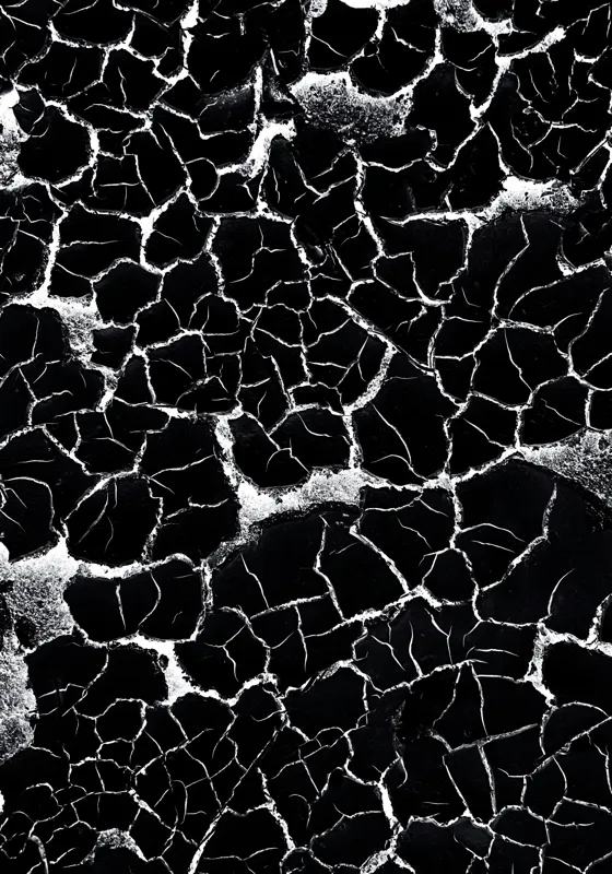 Tablou Canvas, "Căutând apa în deșertul întunecat", Crăpături, Textură, Abstracție, Contraste, Monocrom, Impresionant, Fragilitate, Descompunere, Estetic, Natură, Geometric., 70 x 100 cm – poza 2