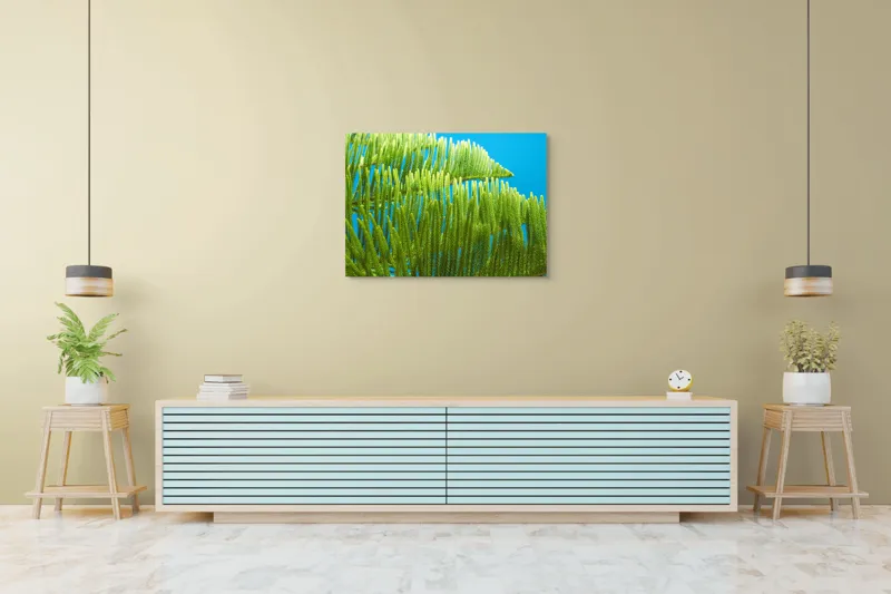 Tablou Canvas, "Dansul frunzelor sub cer senin", Frunze, Verde, Albastru, Contrast, Natură, Textură, Cer, Plante, Lumină, Ușurință, 100 x 70 cm – poza 4