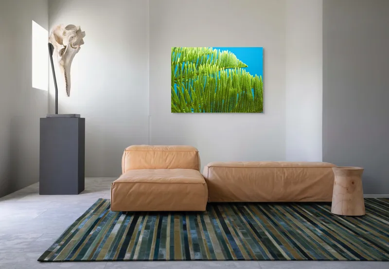 Tablou Canvas, "Dansul frunzelor sub cer senin", Frunze, Verde, Albastru, Contrast, Natură, Textură, Cer, Plante, Lumină, Ușurință, 100 x 70 cm – poza 7