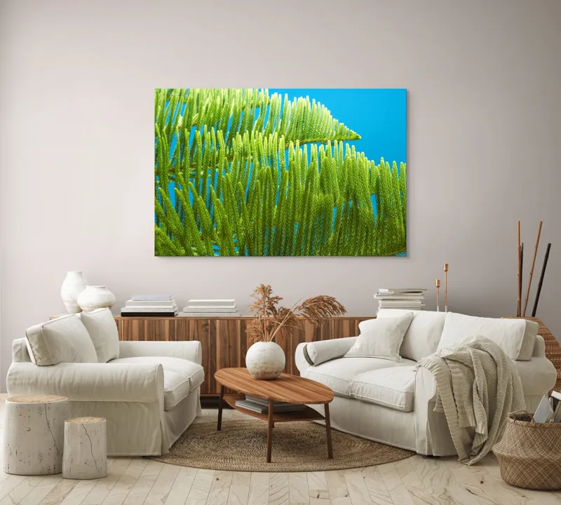 Tablou Canvas, "Dansul frunzelor sub cer senin", Frunze, Verde, Albastru, Contrast, Natură, Textură, Cer, Plante, Lumină, Ușurință, 150 x 100 cm – poza 3