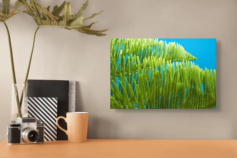 Tablou Canvas, "Dansul frunzelor sub cer senin", Frunze, Verde, Albastru, Contrast, Natură, Textură, Cer, Plante, Lumină, Ușurință, 39 x 26 cm – poza 3
