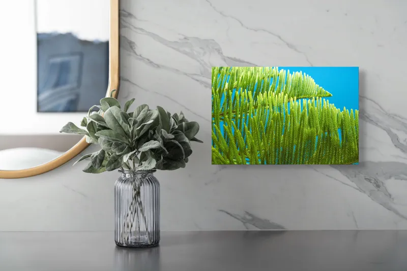 Tablou Canvas, "Dansul frunzelor sub cer senin", Frunze, Verde, Albastru, Contrast, Natură, Textură, Cer, Plante, Lumină, Ușurință, 39 x 26 cm – poza 5