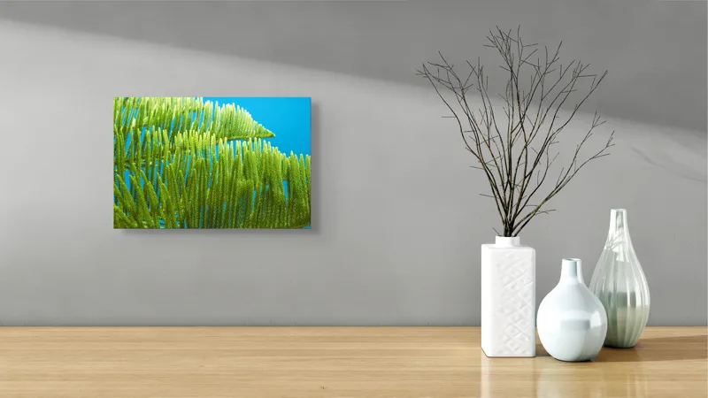 Tablou Canvas, "Dansul frunzelor sub cer senin", Frunze, Verde, Albastru, Contrast, Natură, Textură, Cer, Plante, Lumină, Ușurință, 39 x 26 cm – poza 8