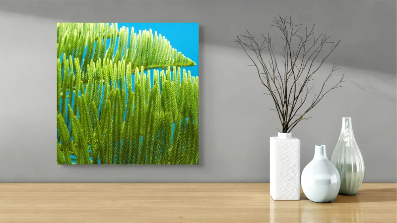 Tablou Canvas, "Dansul frunzelor sub cer senin", Frunze, Verde, Albastru, Contrast, Natură, Textură, Cer, Plante, Lumină, Ușurință, 50 x 50 cm – poza 3